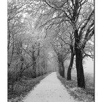 <b>... stará a zasněžená ...</b><br>