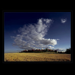 ...VIŠŇOVÝ SAD...( magická zastavení )(...vzpomínky...)