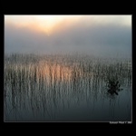 Jedno fínske ráno II.