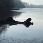 Jednoho zimního dopoledne