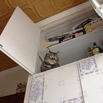 Trudy čeká na Silvestra