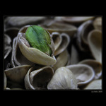 <b>... Posledná ...</b><br>