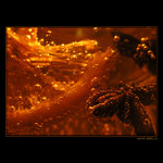 <b>... Buble ...</b><br>