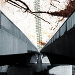 celkové životné rozpoloženie...