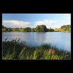 Na Valše u Zavlekova