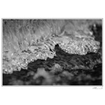 ...Ledové království...