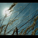 Jen tak si lehnout ...