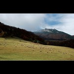 Koľko ich tam asi je???