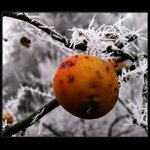 Jeden z posledních...