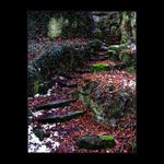 Opravdu prastaré...