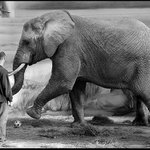 Co takhle fotbálek, trenére :)