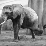 Pedikúru, prosím  :)