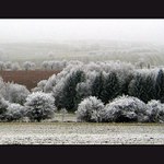 POLE, STROMY, POLE, STROMY, POLE, STROMY ATD.