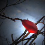 ...chybějící vitamín...