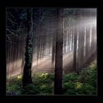 Český ráj dle Tolkiena