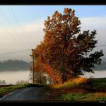 dráty a zase dráty...