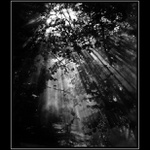 pronikání světla ...II.