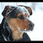 Konečně napadl sníh