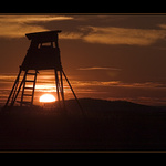 Myslivcova západofka