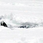 = Sněhová peřinka =