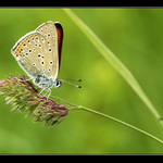 Do léta už jenom kousek