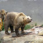 tak už tě teda fotit nebudu...