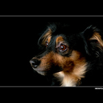 = Ten hlídač, ta němá tvář ... =