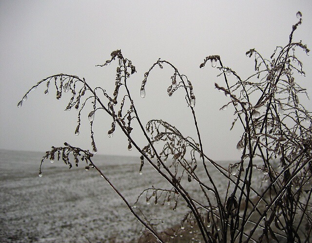 <b>Ledem oděná...</b>