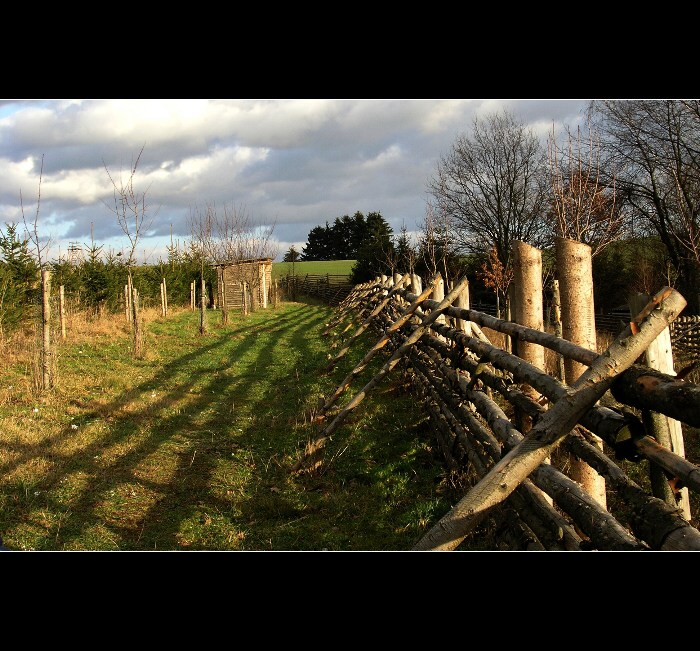 cesta stínu