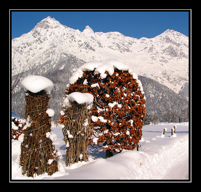 Podzim v zimním kabátě