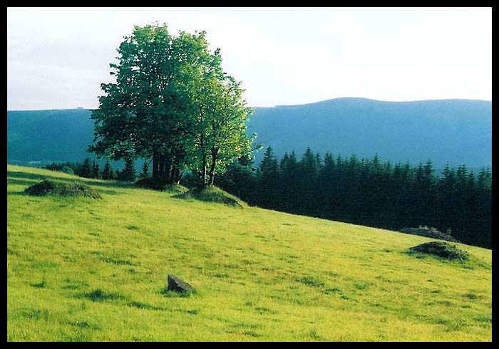 Jesenická krajinka