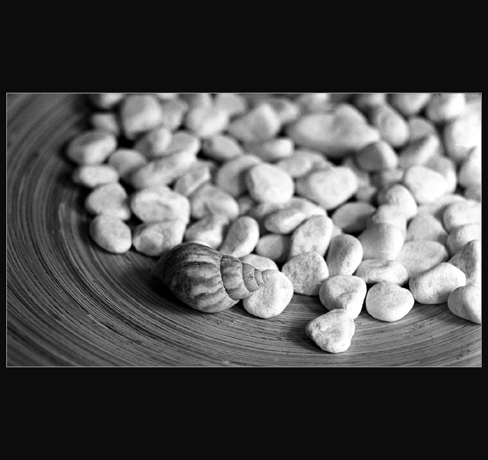 SHELL