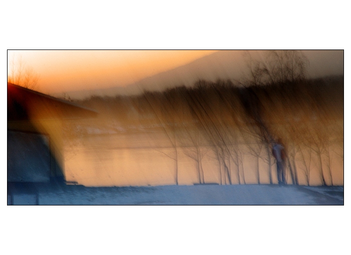 lone wolf skipper
