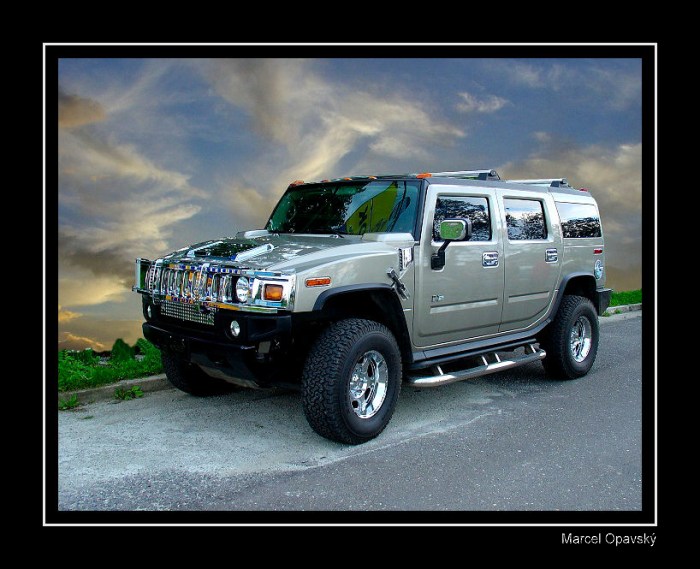 <b><u>*****Hummer*****</b></u> </a></span><br>