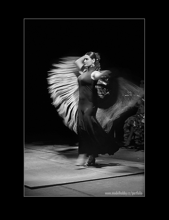 Flamenco