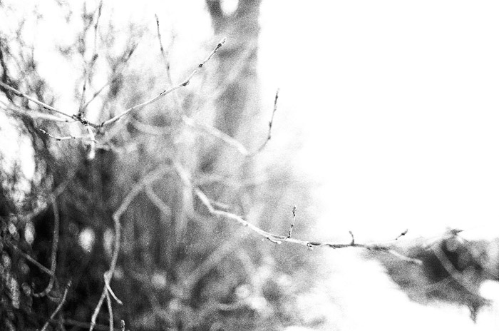 unfamiliar wind (leeks hills)