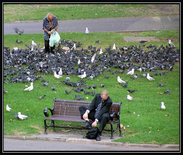 Lord of the birds & struggling man