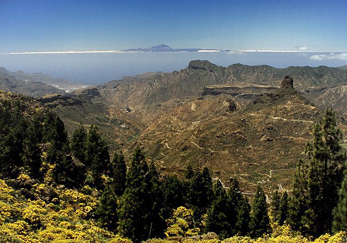 Z Roque Nublo