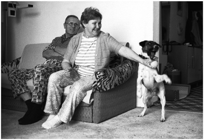 Games People Play.......and dogs too. II