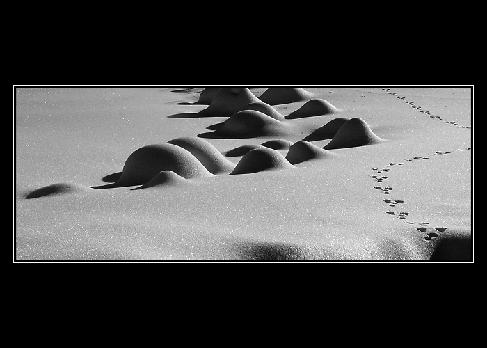 " ... tak přes tyto kopečky já tedy nepůjdu!"