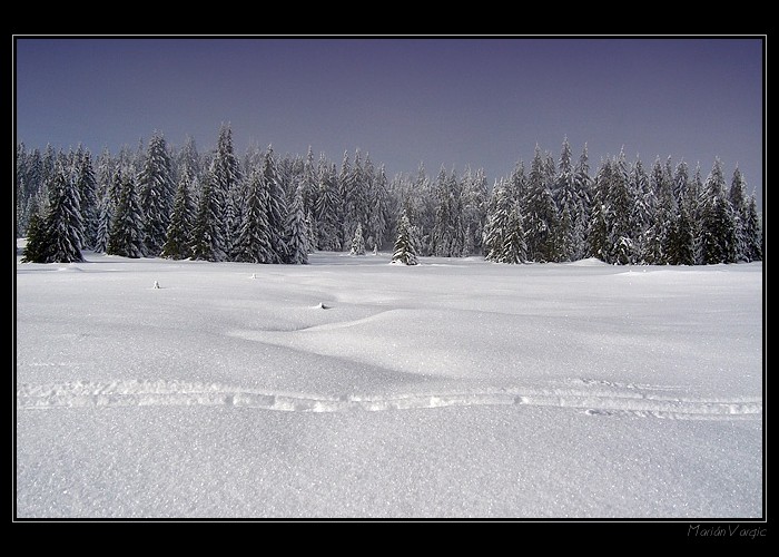 <b>White way