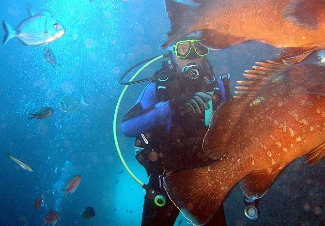 Stůj, dej přednost v jízdě !