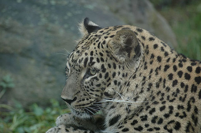 Jsem v pohodě a co ty ?