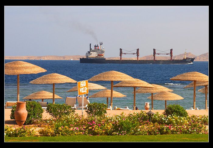 Ještě předevčírem slunce hřálo a kytky voněly....