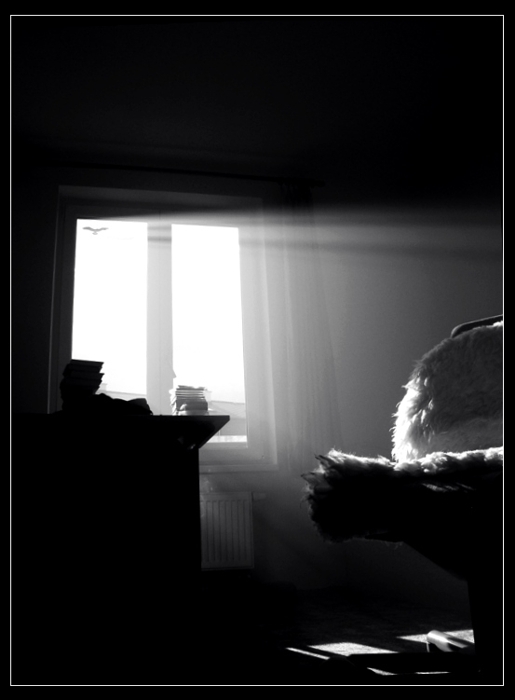 ...free as a bird...
