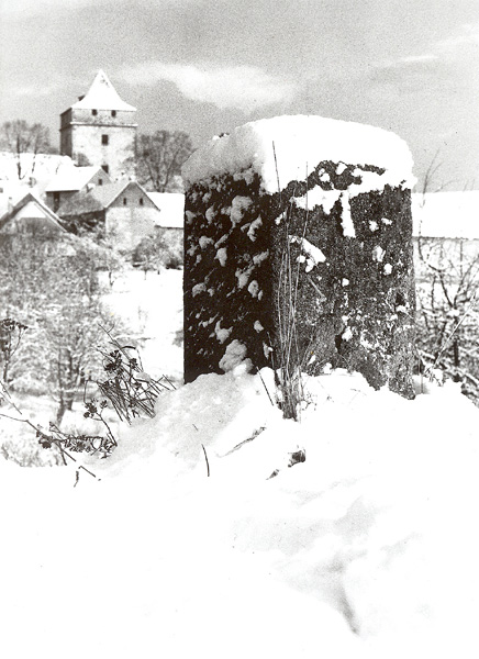 Pod sněhem