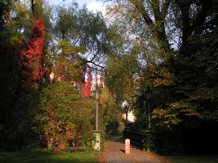 cesta