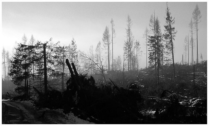 Tatry?