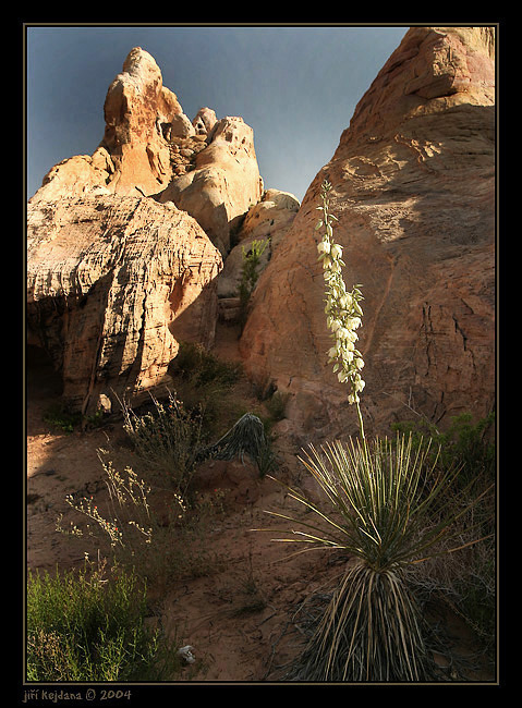 Valley of Fire II.