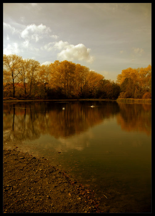 Labutí Jezero